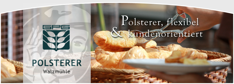 Logo, H. Polsterer u. Mitgesellschafter Ges.n.b.R., Netzbetreiber